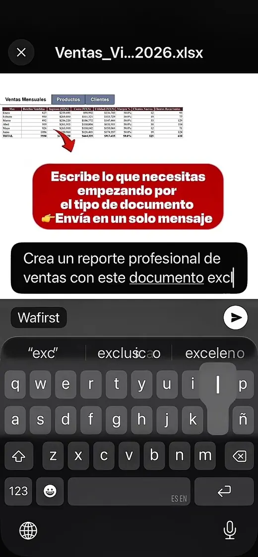 Chat de WhatsApp donde Wafirst entrega un documento en PDF